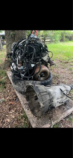 LS 5.3
