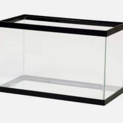 Reprile/fish Tank 10gal Plus Carpet If Needed