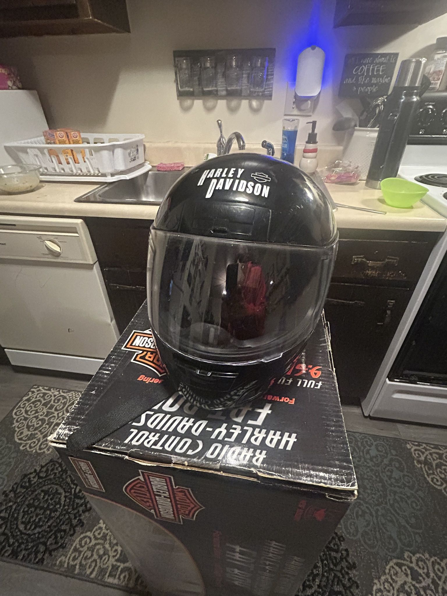 Harley Davidson Little Bikers Helmet