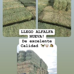 ALFALFA SAN DIEGO 92114 