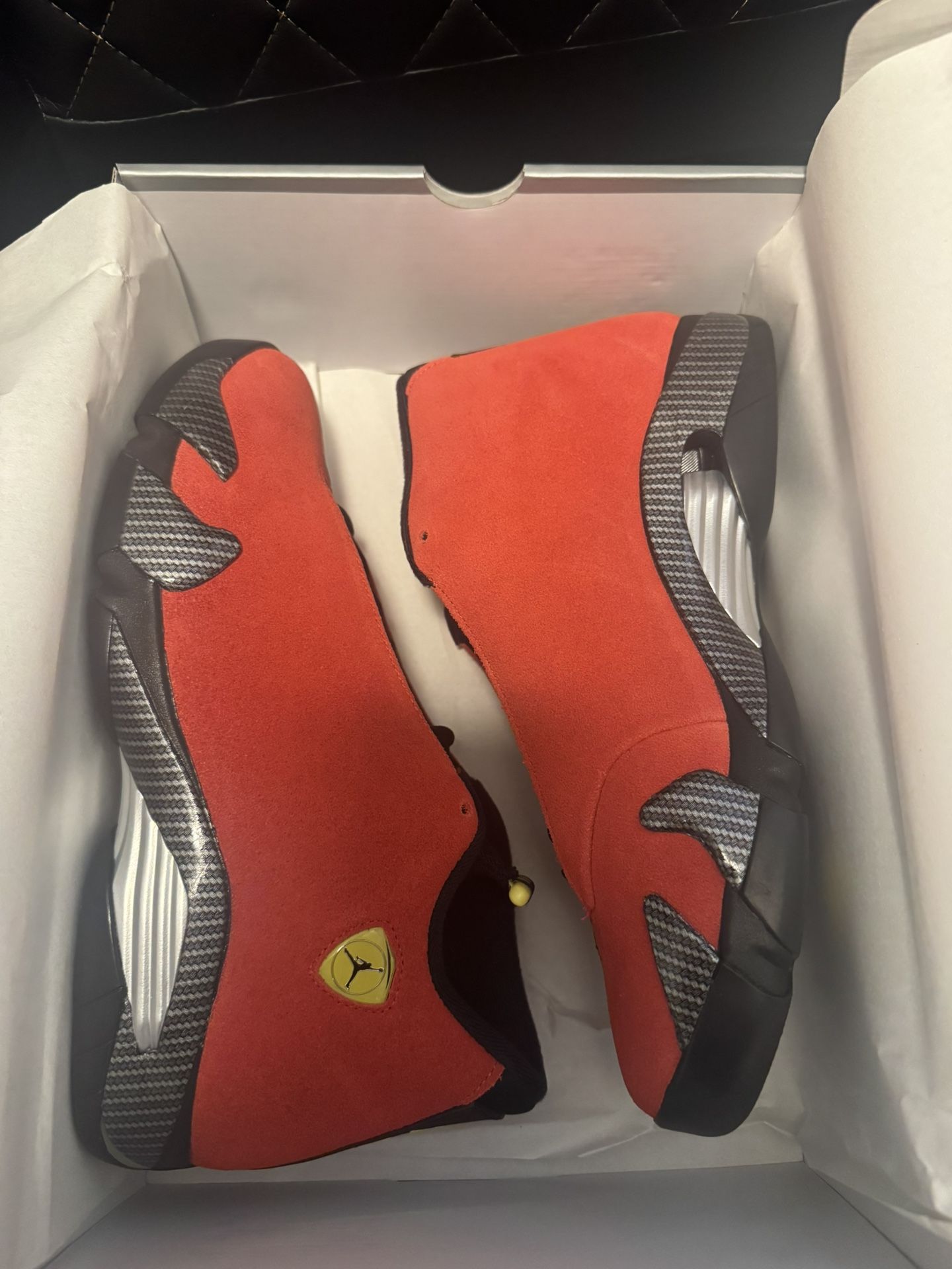 Jordan Ferrari 14 Brand New!! Ds! 10.5
