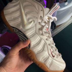 Size 12 Gucci Foamposite