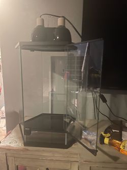 Reptile setup
