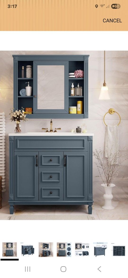 Vanity Cabinet And Mirror Cabinet