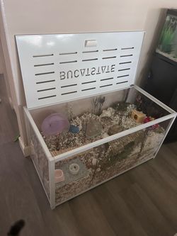 BUCASTATE 69 Gallon 39.3"L x 19.7"W x 20.6"H hamster tank. Comes with everything pictured!