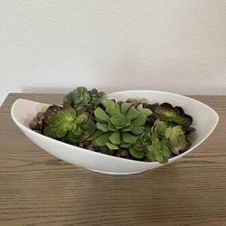 Succulents Floral Decor