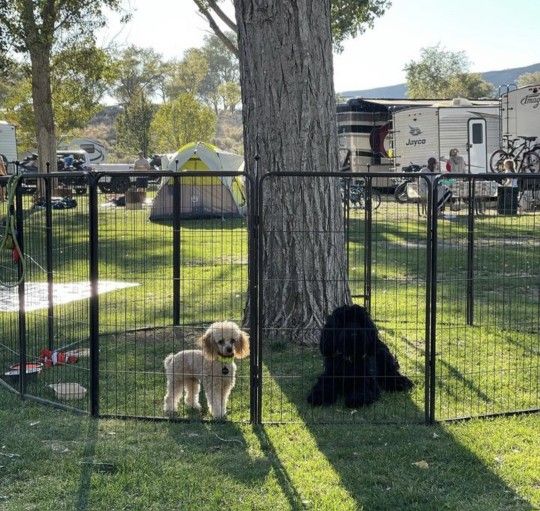 New 40' Tall XL HEAVY DUTY Dog Playpen 12 Panels 79sq Ft , 32' Long Dog Cage All Weather Portable Campimg Pet Or Child Fence Dog Run