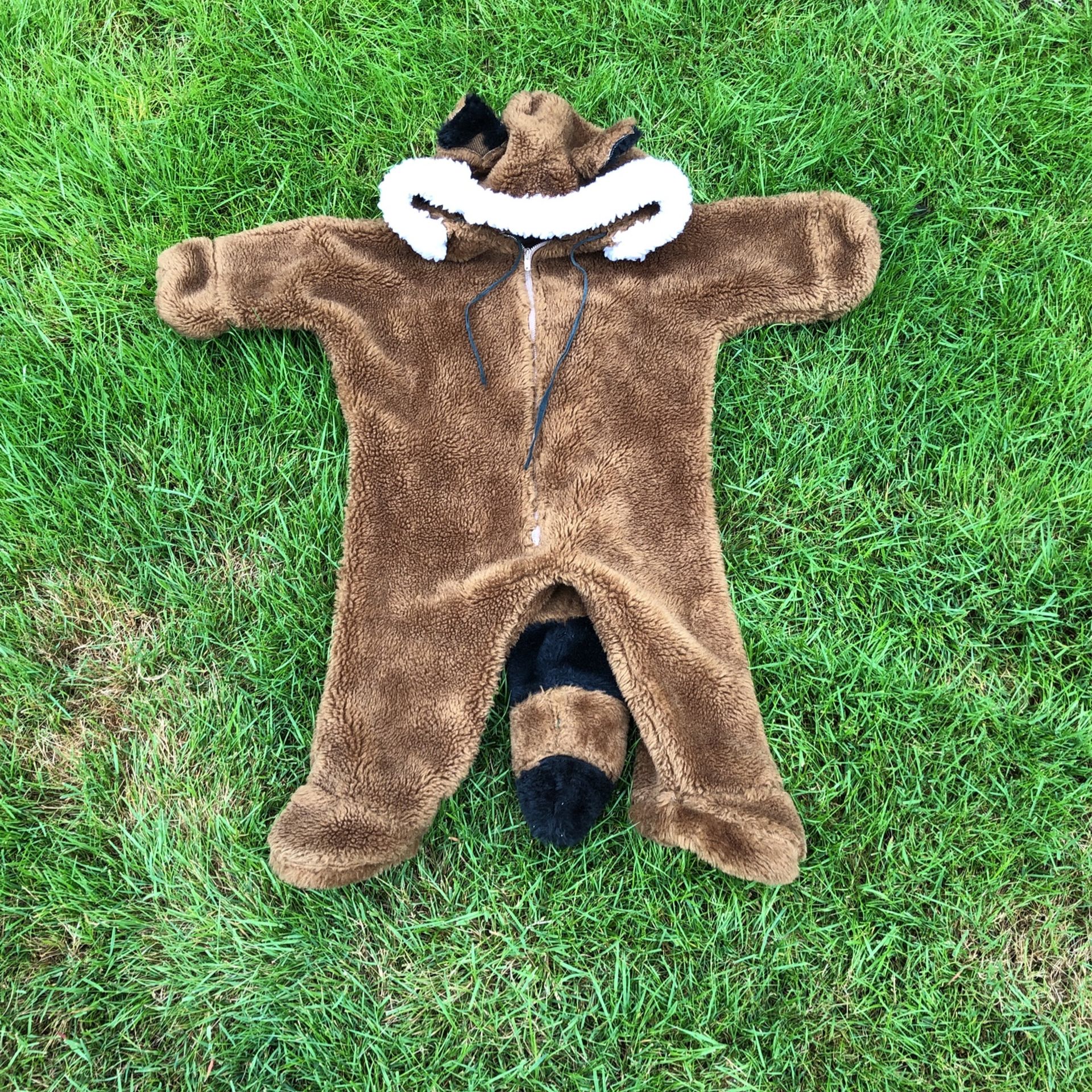 Raccoon Costume