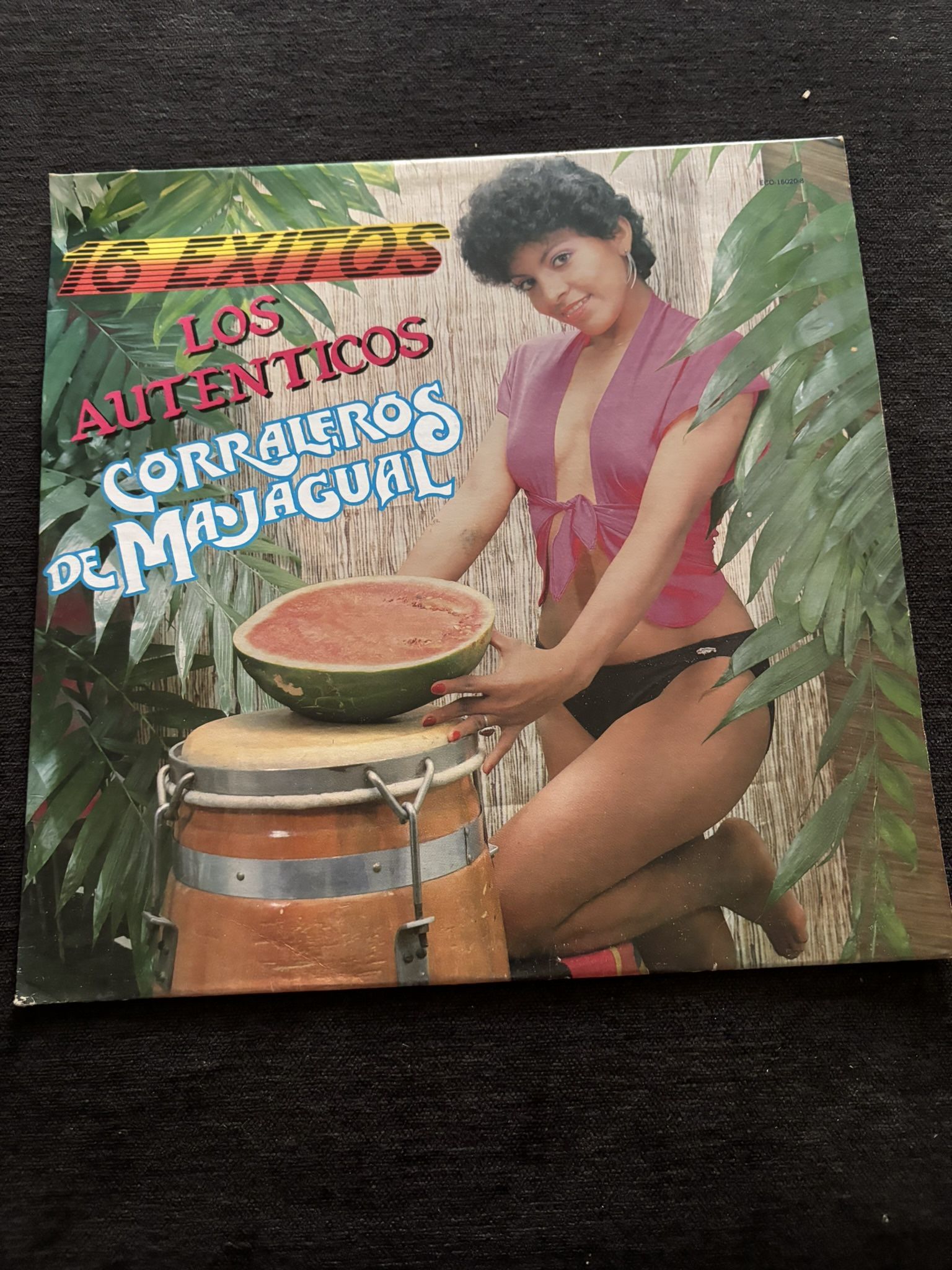 los autenticos corraleros de majagual vynil