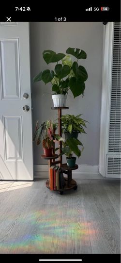 Beautiful 5 tier plant stand