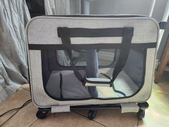 Pet rolling carrier