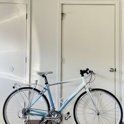 Giant Dash Hybrid Bike 