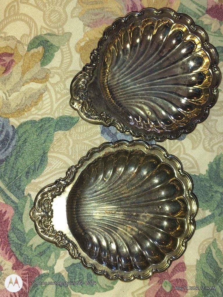 Leonard Clam Shells