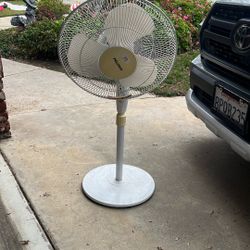 Fan 