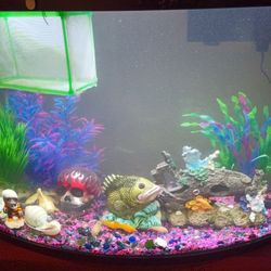 69 Gallon  Fish Tank Complete With Stuff