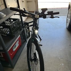 Adult Eletric Bike
