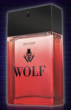 Men’s perfume