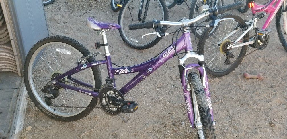 Trek Girls Mt220 Bicycle