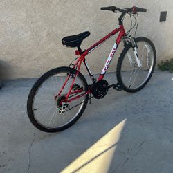 Titan Pathfinder Mountain Bike 