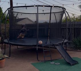 Trampoline