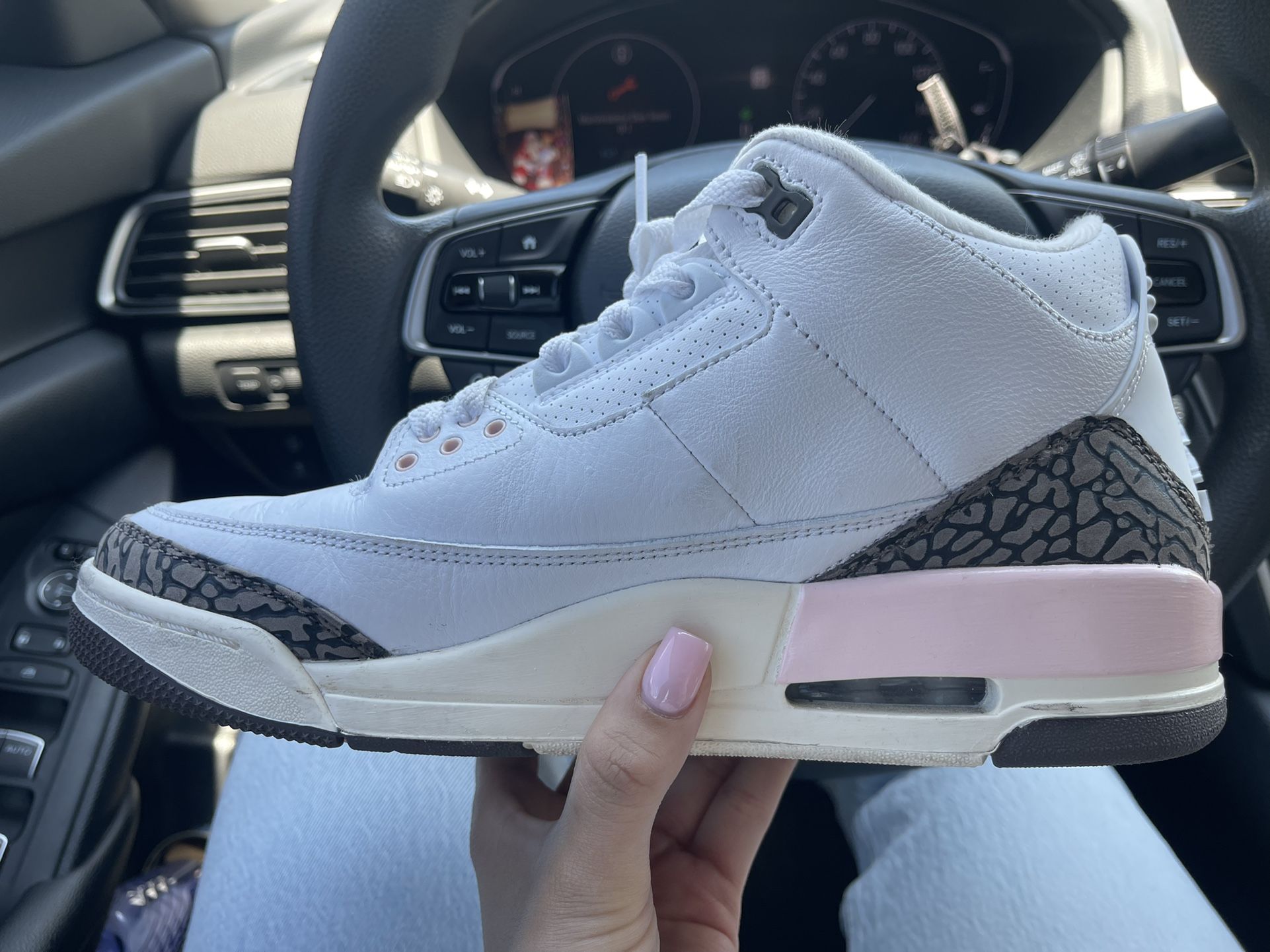 Jordan 3s Neapolitan