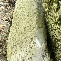 Woolite Blocks 