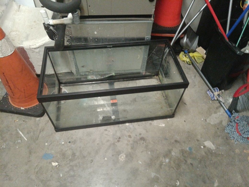 Fish Tank
