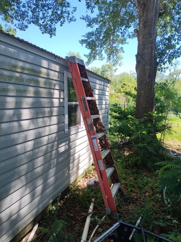 8 Ft Louisville Step Ladder