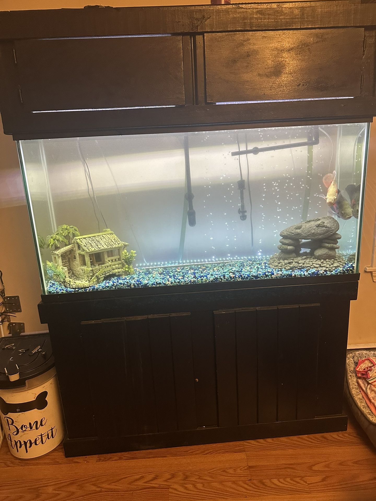 55 Gallon Fish Tank