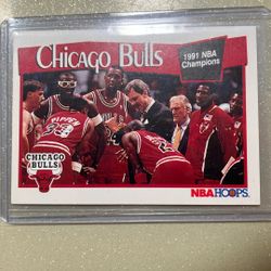 Jordan Bulls 1991 NBA Champions