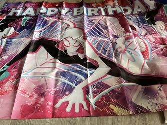 Spidey Girl Party Supplies 