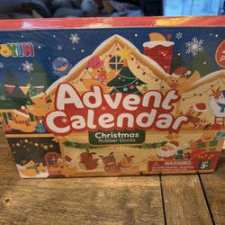 Advent Rubber Duck Calender