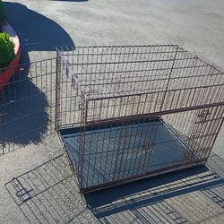 Dog Kennel