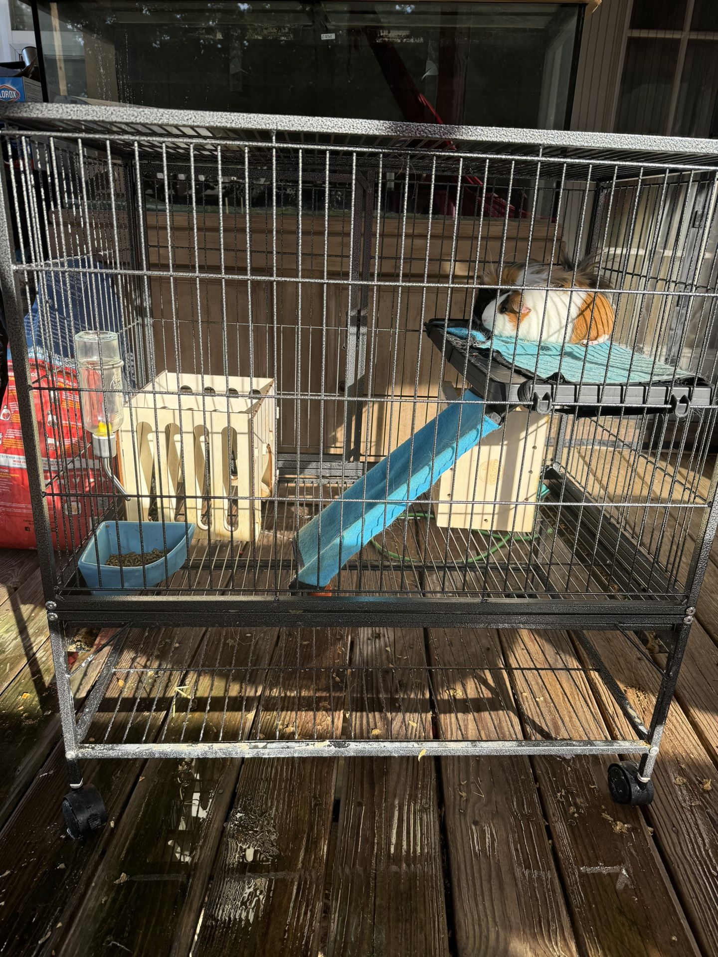 Guinea Pig Cage