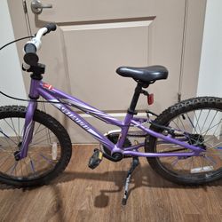 Specialized Hotrock Kids Bike 20in tires Handle Brake