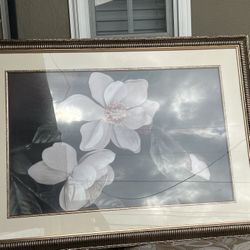 Frame