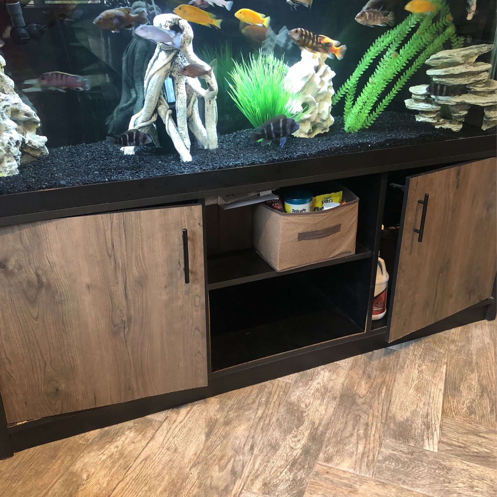 Complete 125 Gallon Aquarium for Sale in Lake Elsinore, CA OfferUp