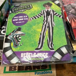 Used Once- Beetlejuice Costume $25 Kids Size 12-14