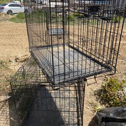 Dog Crates - Just need to be cleaned!  $40 each