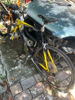 Beautiful adult size bike