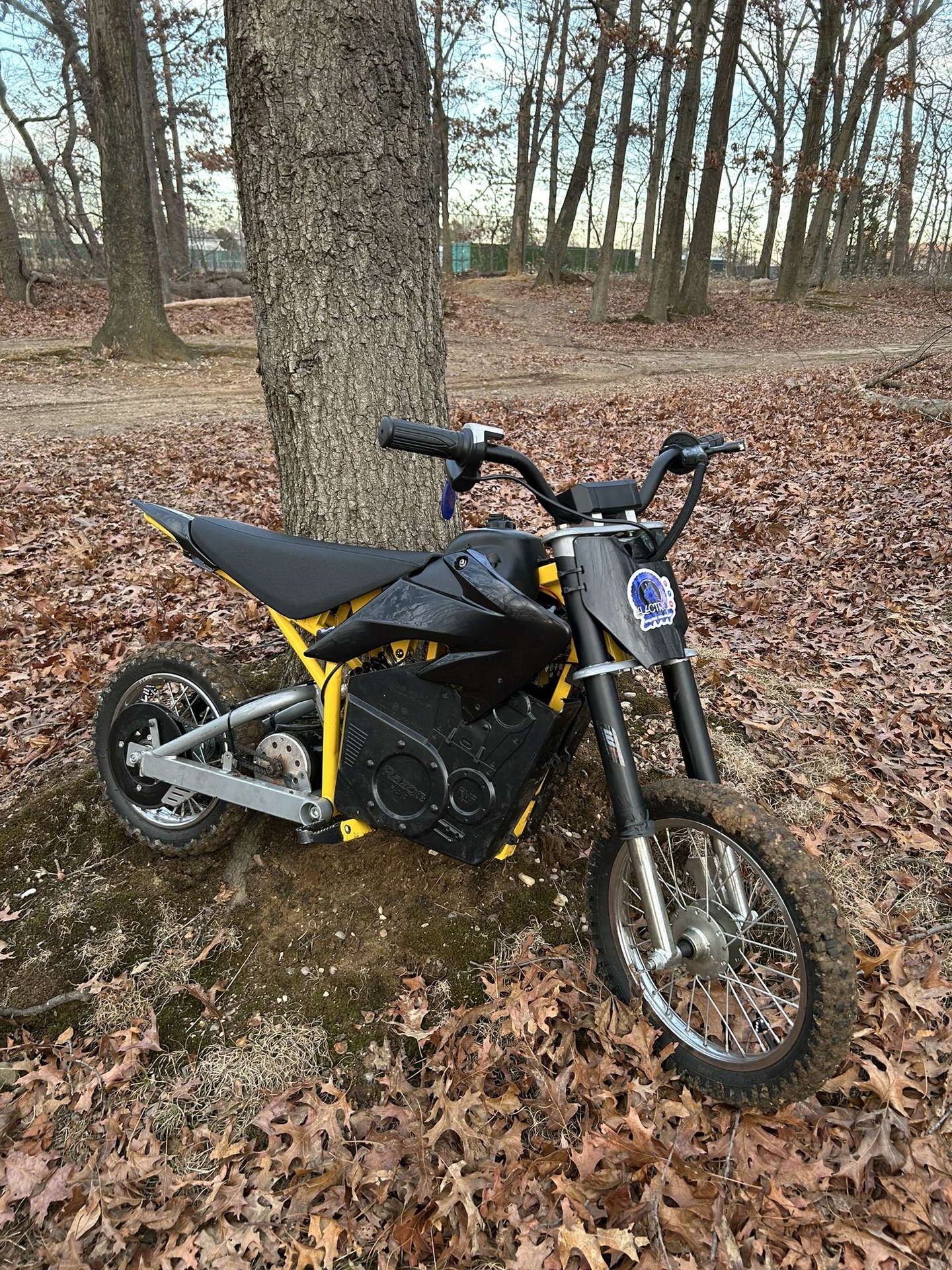 Razor E-bike Fast Scooters Controller MODDED