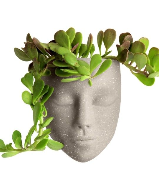 Bossa Linda Beige Wall Face Pot/Planter-Tranquilo Design ✨️ BoHo Decor