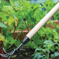 Garden Tool 