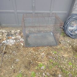 Dog Cage