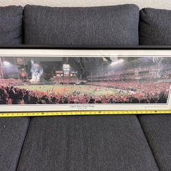 Los Angeles Angels of Anaheim Panorama - 2002 World Series MLB Wall Decor