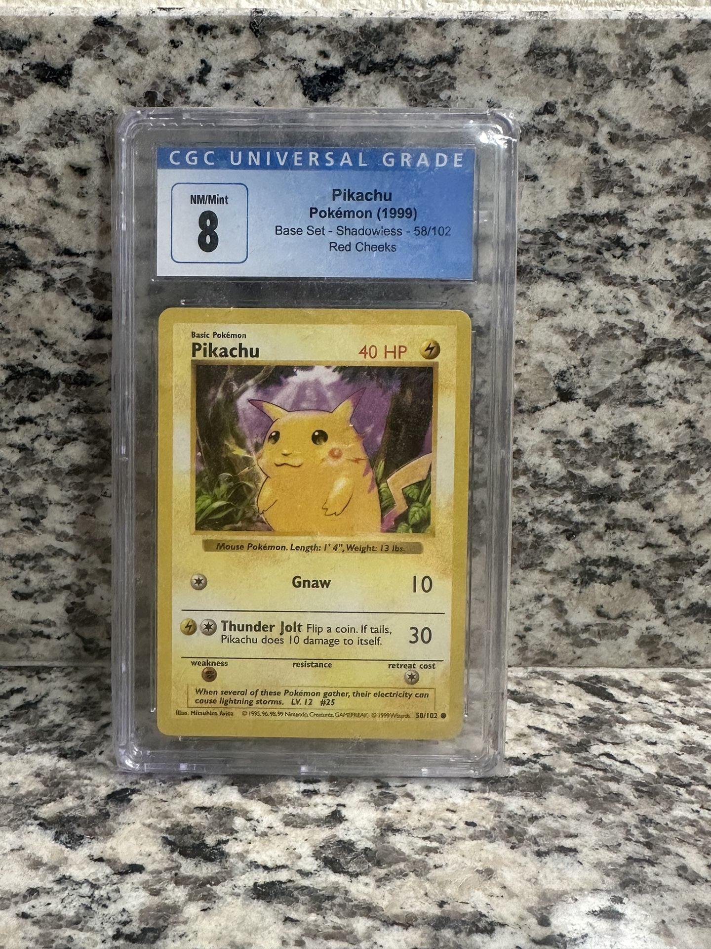 Pokémon Pikachu Card