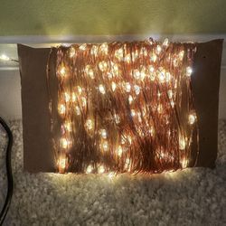 50ft Copper Fairy Lights