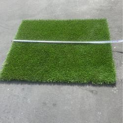 Turf