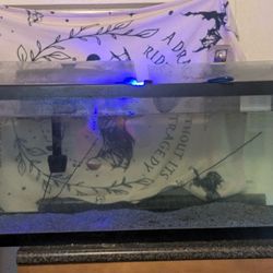 75 Gallon Fish Tank