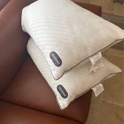 Beautyrest Pillow Set Of 2 